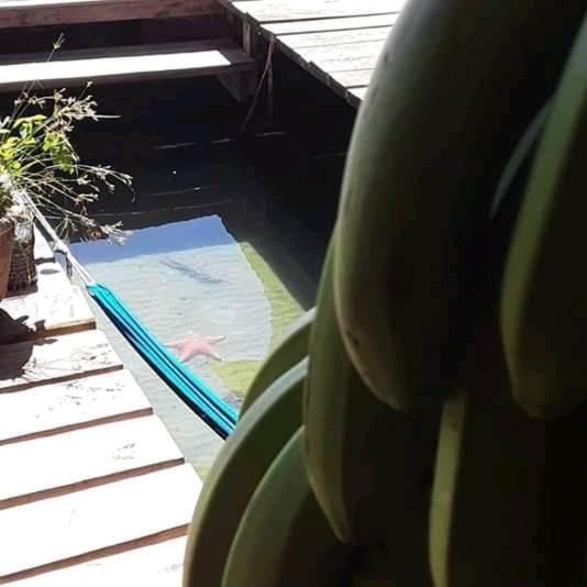 Life Is Good Casa Villa Bocas Town Bagian luar foto